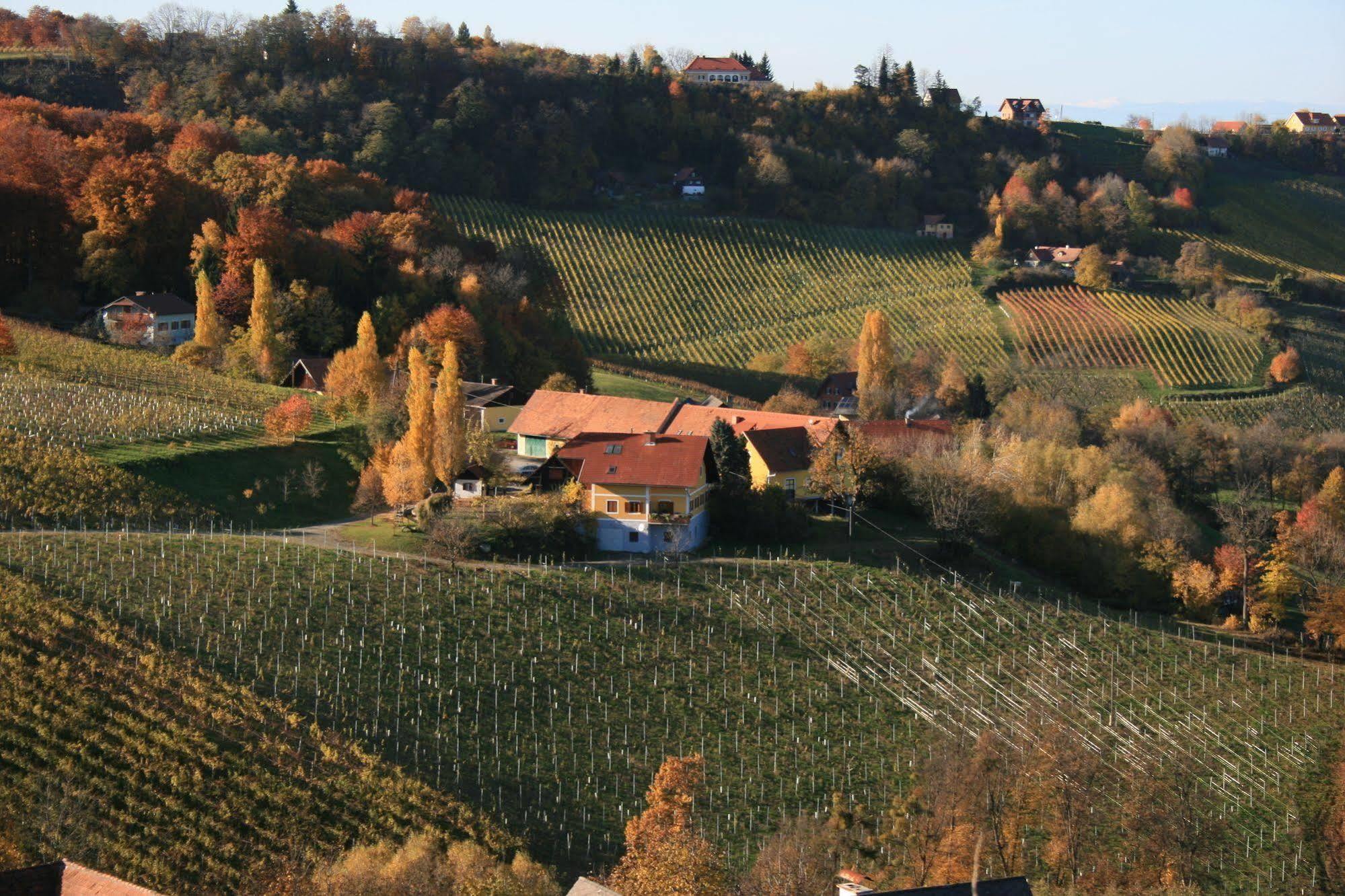 Weingut Primus Suedsteiermark Spielfeld Exterior photo