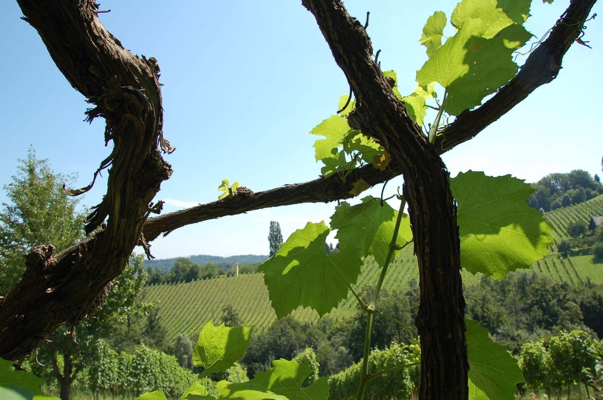 Weingut Primus Suedsteiermark Spielfeld Exterior photo