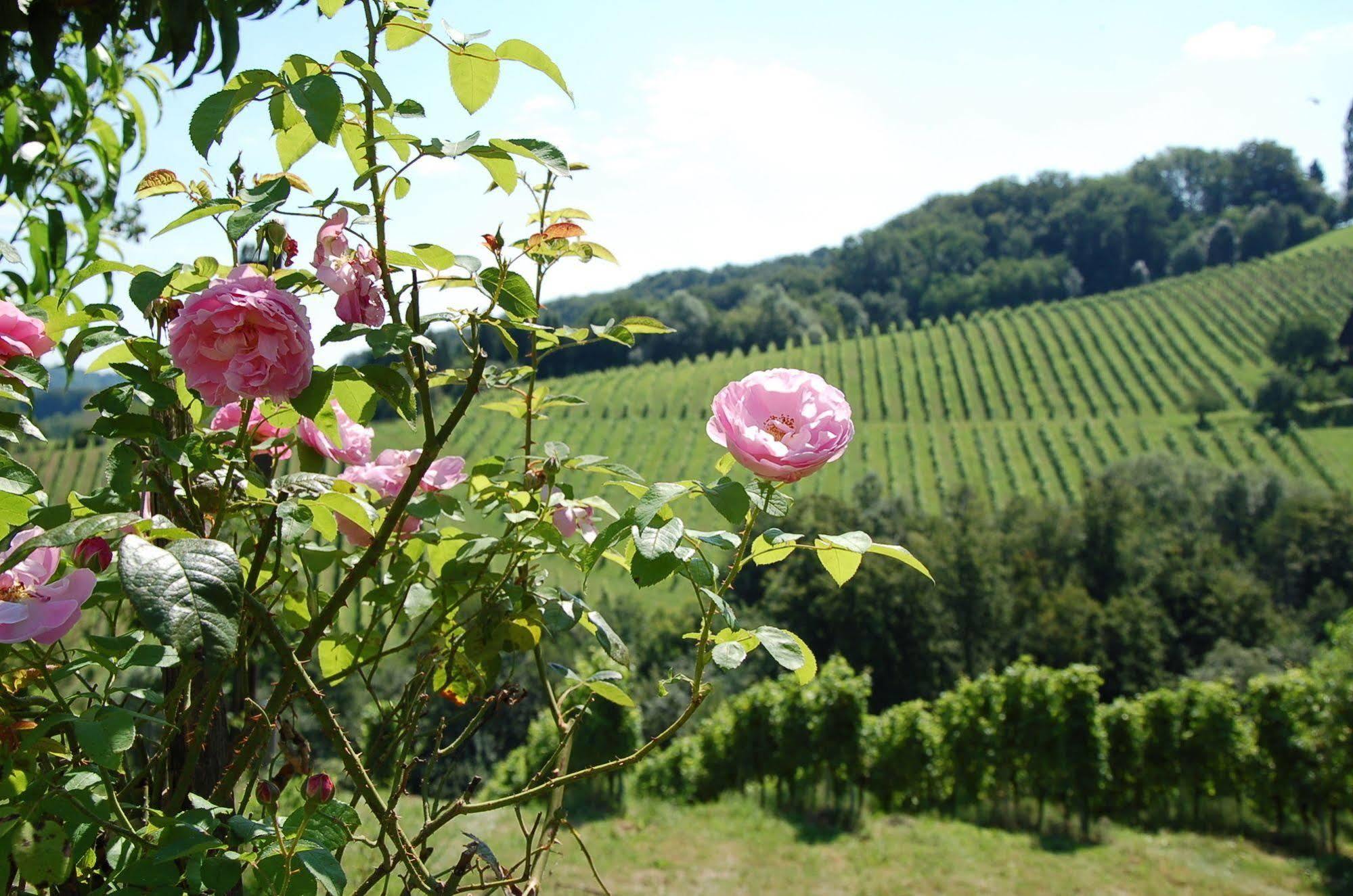 Weingut Primus Suedsteiermark Spielfeld Exterior photo